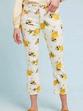 Pilcro Lemon Grove High-Rise Cropped Bootcut Jeans Vacation Beach Cottagecore 29